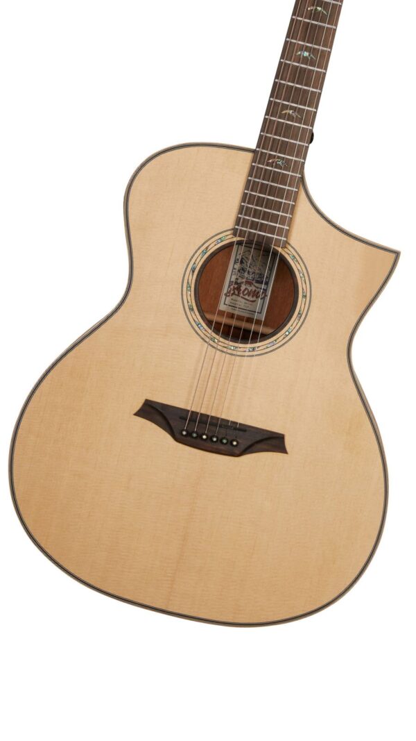 Bromo BAT4C Tahoma series | Hillside Auditorium Acoustic Cutaway