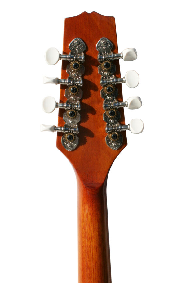 McBrides Banjo Mandolin | instrument for Mandolin-Banjo Crossover