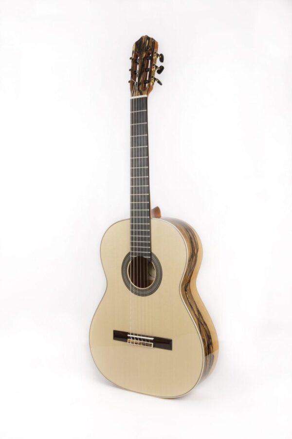 Raimundo 133S Classical Guitar and Case | Spruce / White Ebony