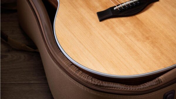 Taylor 214ce Acoustic-Electric Guitar | Layered Walnut Back/Sides