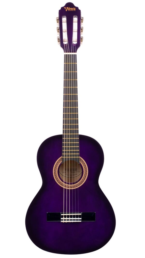 Valencia 100 series Nylon String Guitar | 1/2 Size | Purple