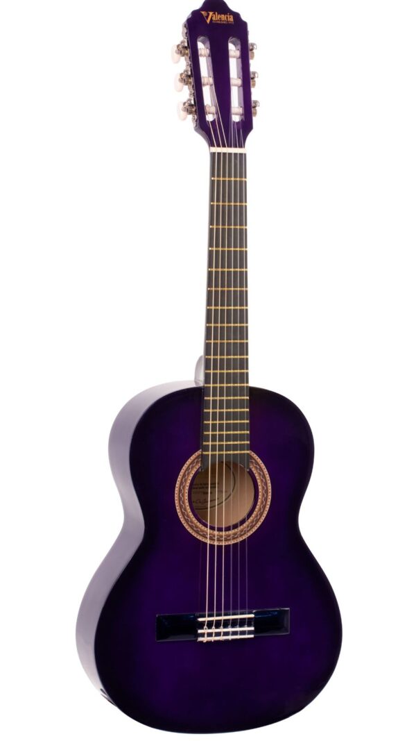 Valencia 100 series Nylon String Guitar | 3/4 Size | Purple