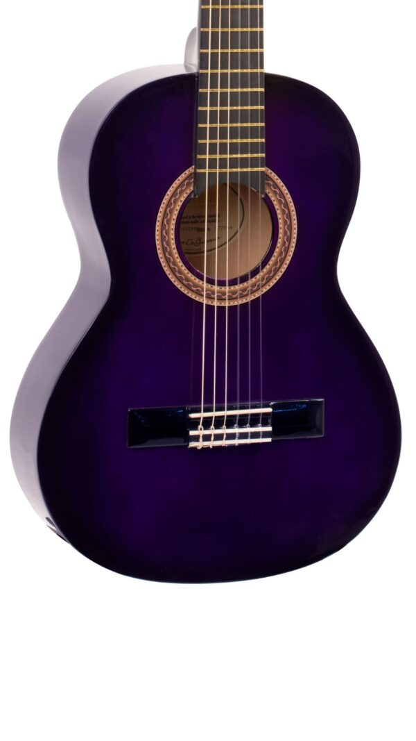 Valencia 100 series Nylon String Guitar | 1/2 Size | Purple