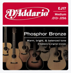 D’Addario Phosphor Bronze Acoustic Guitar String Set | Medium