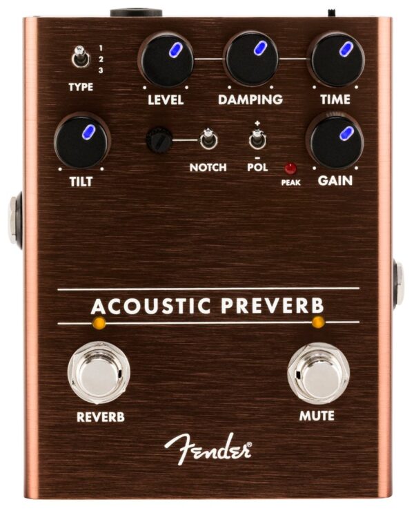 Fender Acoustic Preverb