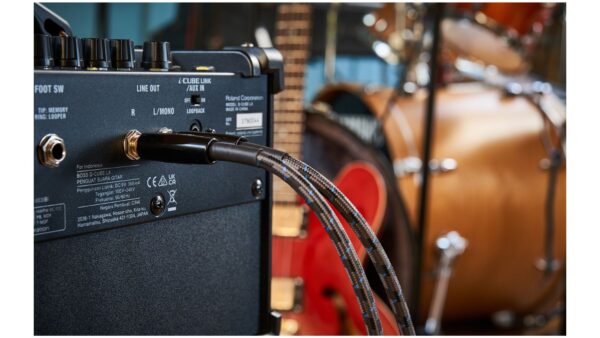 BOSS DUAL CUBE LX | Guitar Amplifier | Evolved for Maximum Flexibility