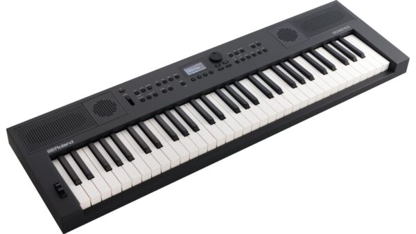 Roland GO:Keys 5 | Music Creation Keyboard | Graphite