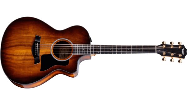 Taylor 222CE Koa Deluxe | Hawaiian Koa body and top | ES2 Pickup