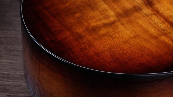 Taylor 222CE Koa Deluxe | Hawaiian Koa body and top | ES2 Pickup