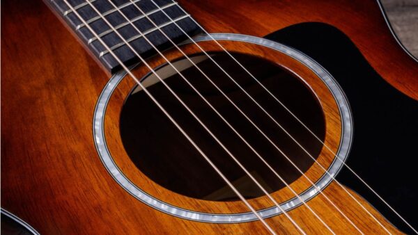 Taylor 222CE Koa Deluxe | Hawaiian Koa body and top | ES2 Pickup