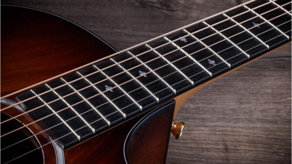 Taylor 222CE Koa Deluxe | Hawaiian Koa body and top | ES2 Pickup