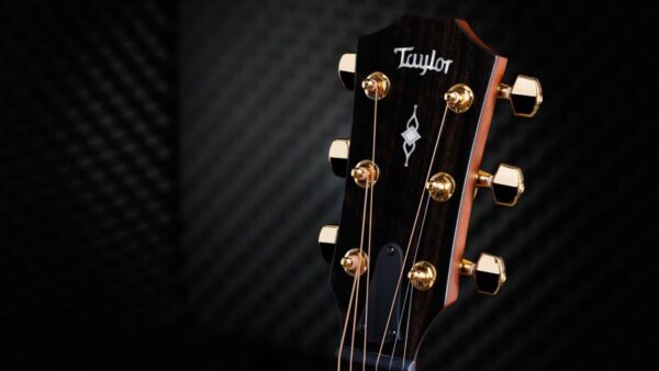 Taylor  314ce| Grand Auditorium | 50th Anniversary | Pick-Up