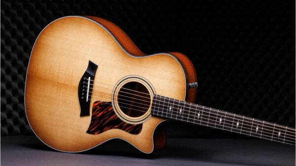 Taylor  314ce| Grand Auditorium | 50th Anniversary | Pick-Up