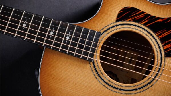 Taylor  314ce| Grand Auditorium | 50th Anniversary | Pick-Up