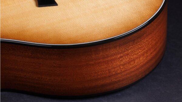 Taylor  314ce| Grand Auditorium | 50th Anniversary | Pick-Up