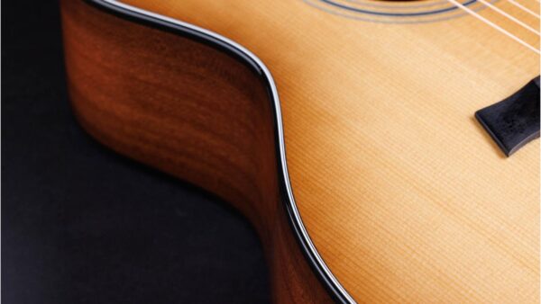 Taylor  314ce| Grand Auditorium | 50th Anniversary | Pick-Up