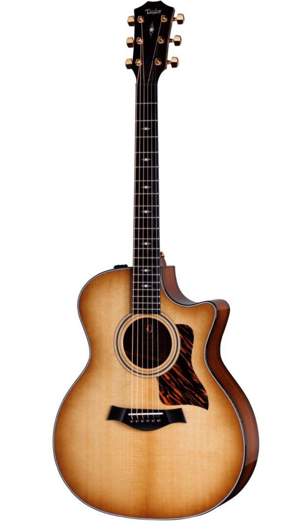 Taylor  314ce| Grand Auditorium | 50th Anniversary | Pick-Up