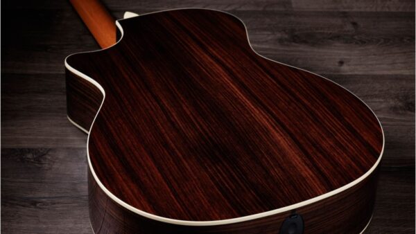 Taylor 50th Anniversary 414ce Special Edition