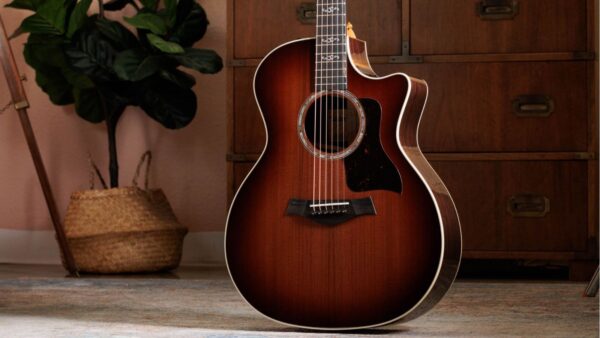 Taylor 50th Anniversary 414ce Special Edition