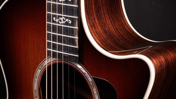 Taylor 50th Anniversary 414ce Special Edition