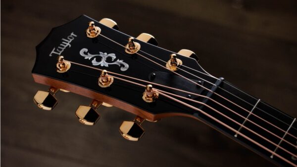 Taylor 50th Anniversary 414ce Special Edition