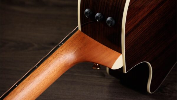 Taylor 50th Anniversary 414ce Special Edition