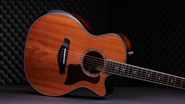 Taylor  814ce | Builders Edition | 50th Anniversary | Pick-Up