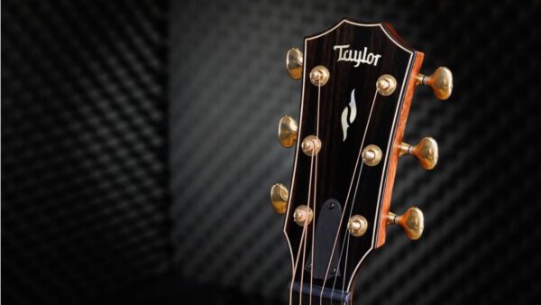 Taylor  814ce | Builders Edition | 50th Anniversary | Pick-Up