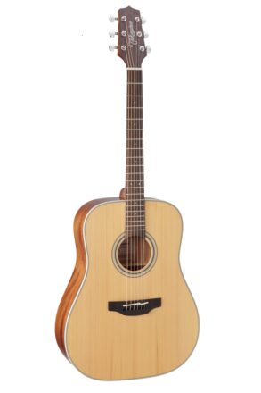 Takamine GD20-NS Dreadnought Guitar | Natural Satin