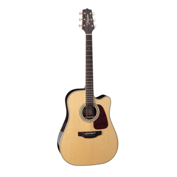 Takamine Dreadnought Acoustic | Pick Up / Spruce Top , Ziricote B & S