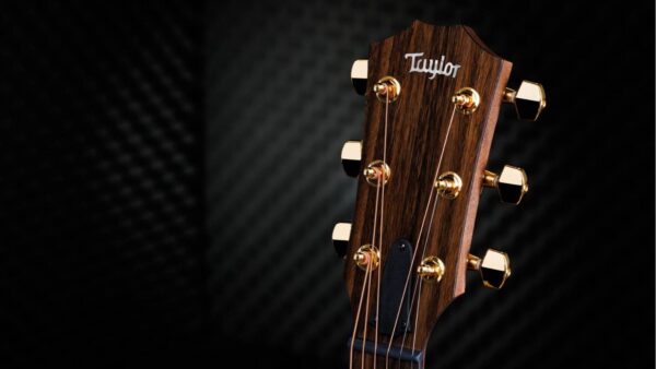 Taylor  AD14ce | Grand Auditorium | 50th Anniversary | Pick-Up