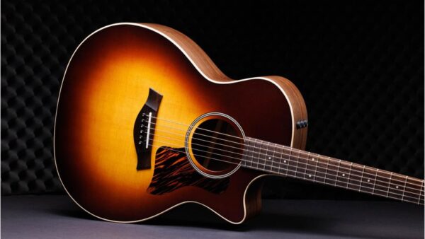 Taylor  AD14ce | Grand Auditorium | 50th Anniversary | Pick-Up