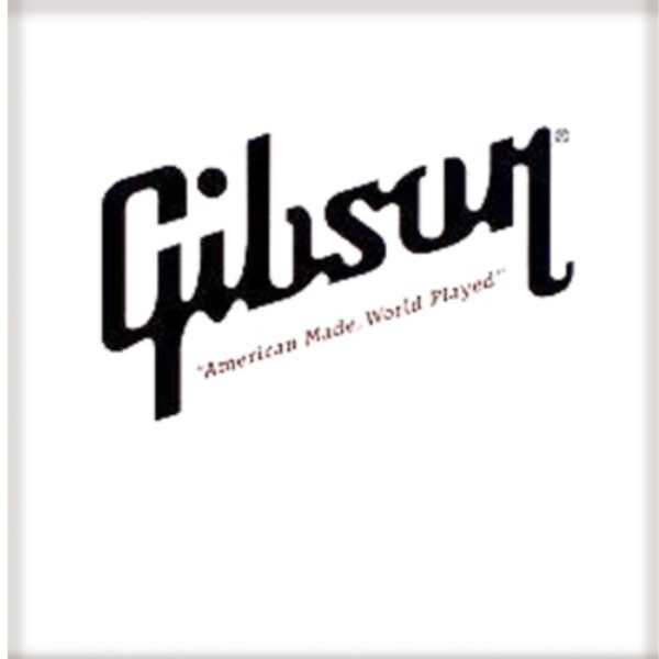 Gibson Electric Guitar | singles strings | Nickel Wound | Gauge .020