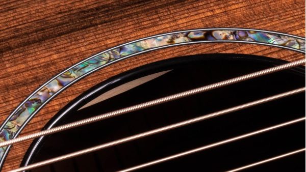 TAYLOR PS12CE | 6-String | Sinker Redwood Top | Honduran Rosewood Back and Sides