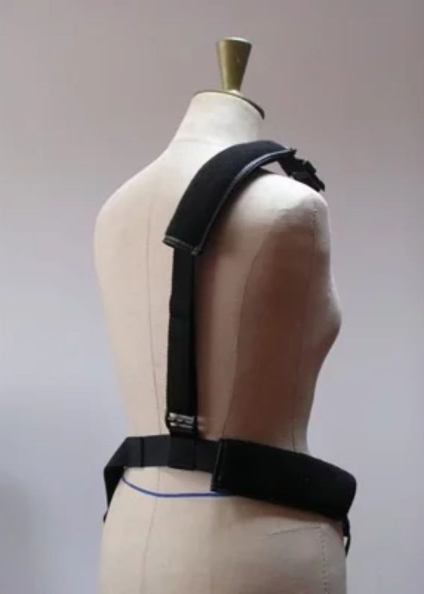 ZZ Camac DH32 versatile electric harp Harness