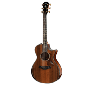 TAYLOR PS12CE Honduran Rosewood