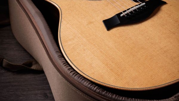 Taylor 314ce| Studio Special Edition | Sapele| Natural